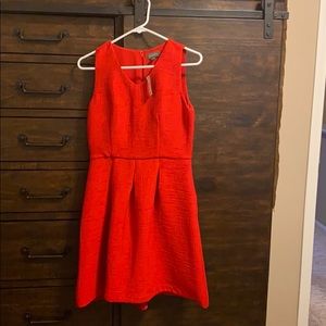 The Limited little red dress, textured, size 2